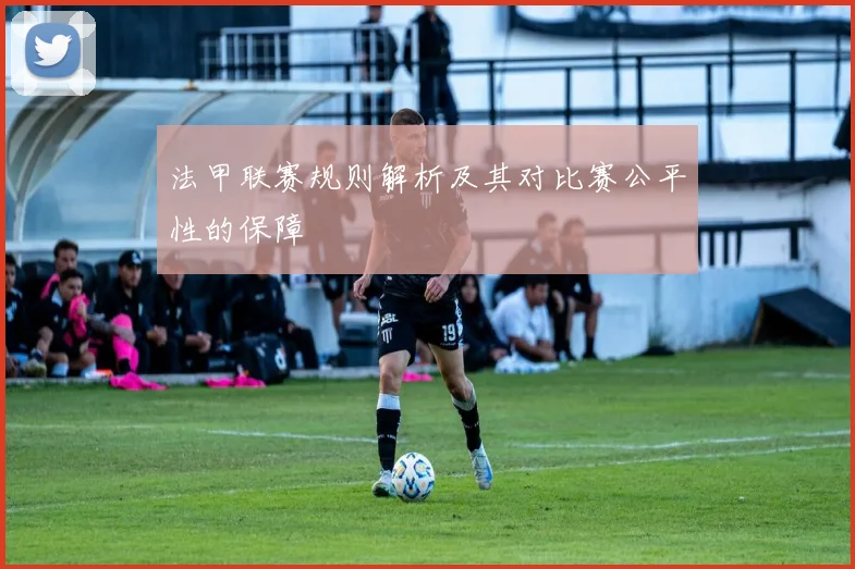 法甲联赛规则解析及其对比赛公平性的保障