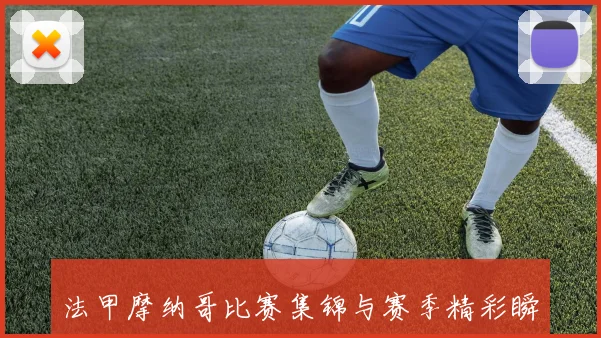 法甲摩纳哥比赛集锦与赛季精彩瞬间
